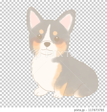 坐著的柯基犬的插圖 117873785