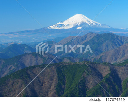 丹沢・三ノ塔から望む冬の富士 117874239