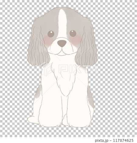 坐著的美國可卡犬的插圖 坐著的美國可卡犬的插圖 117874625