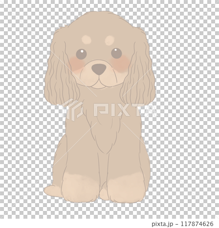 坐著的美國可卡犬的插圖 坐著的美國可卡犬的插圖 117874626