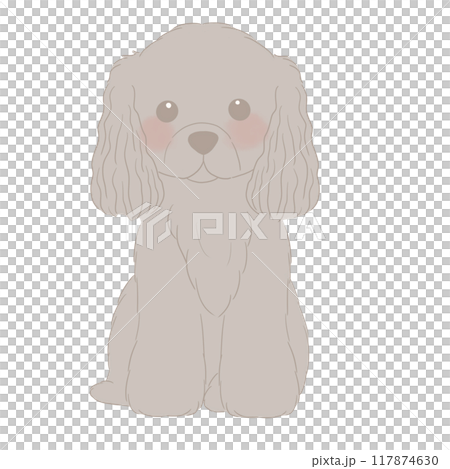 Illustration of a sitting American Cocker Spaniel 117874630