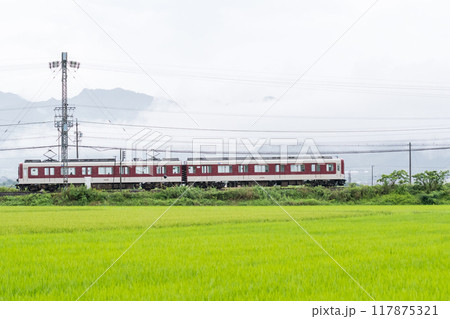 【山田線】雨の田園風景を走行する普通列車 117875321