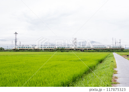 【山田線】雨の田園風景を走行する特急列車 117875323