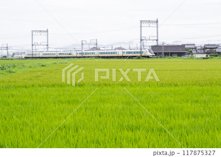 【山田線】雨の田園風景を走行する特急列車 117875327