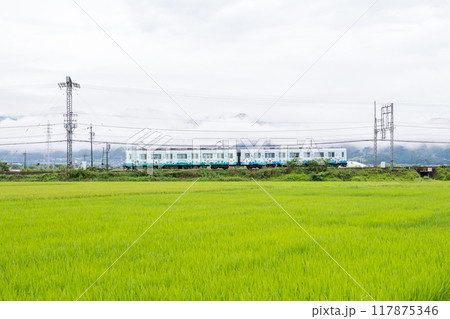 【山田線】雨の田園風景を走行する普通列車 117875346