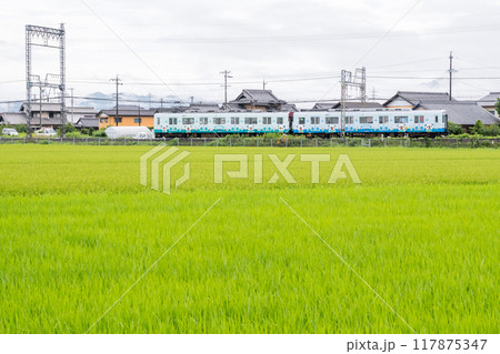 【山田線】雨の田園風景を走行する普通列車 【山田線】雨の田園風景を走行する普通列車 117875347