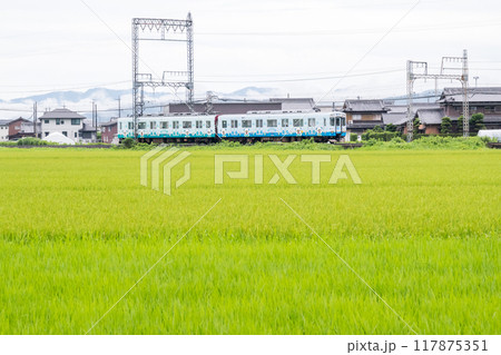 【山田線】雨の田園風景を走行する普通列車 117875351