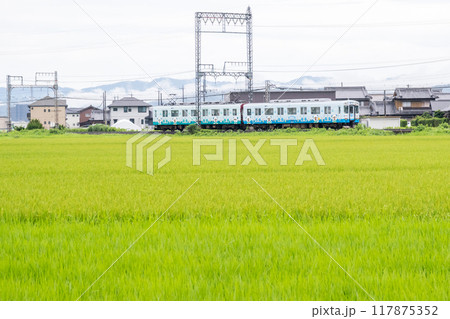 【山田線】雨の田園風景を走行する普通列車 117875352