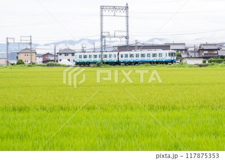 【山田線】雨の田園風景を走行する普通列車 【山田線】雨の田園風景を走行する普通列車 117875353
