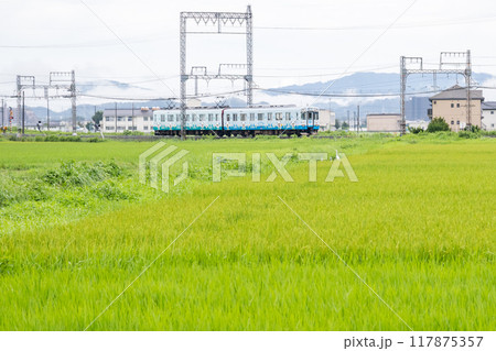 【山田線】雨の田園風景を走行する普通列車 117875357