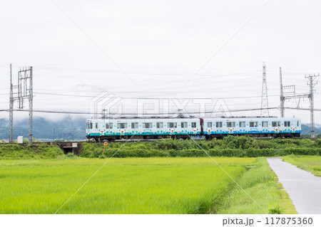 【山田線】雨の田園風景を走行する普通列車 117875360