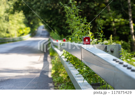 Sunlit Roadside Guardrail Overgrown With Summer Vegetation Along a Forest Path 117875429