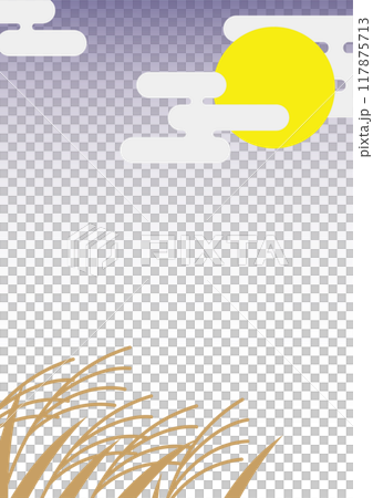 Silver grass floating in the night sky 117875713