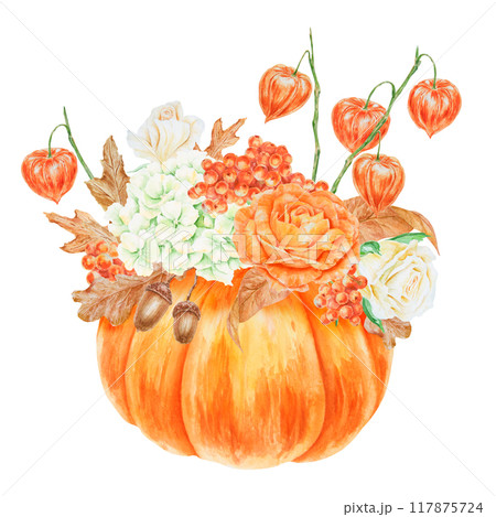 Pumpkin, orange and white roses, physalis, rowan berries, cream hydrangea inflorescence. Hand drawn watercolor isolated illustration with fall vegetable and plants. Cut out botanical harvest clipart 117875724