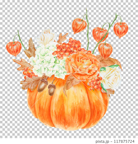 Pumpkin, orange and white roses, physalis, rowan berries, cream hydrangea inflorescence. Hand drawn watercolor isolated illustration with fall vegetable and plants. Cut out botanical harvest clipart 117875724