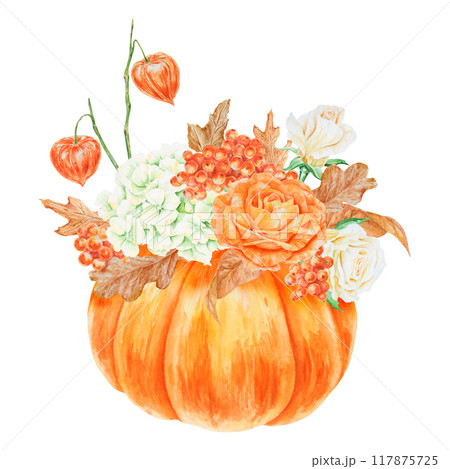 Pumpkin, orange and white roses, physalis, rowan berries, cream hydrangea inflorescence. Hand drawn watercolor isolated illustration with fall vegetable and plants. Cut out botanical harvest clipart 117875725