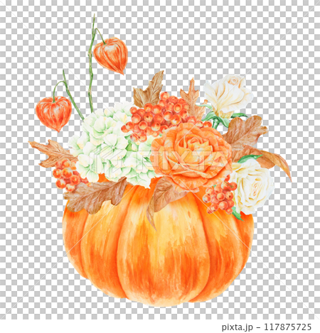 Pumpkin, orange and white roses, physalis, rowan berries, cream hydrangea inflorescence. Hand drawn watercolor isolated illustration with fall vegetable and plants. Cut out botanical harvest clipart 117875725