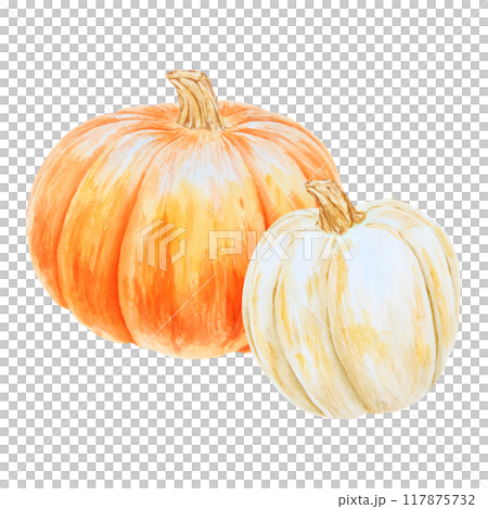 Orange and white pumpkins. Realistic botanical painting. Rustic style. Hand drawn watercolor isolated illustration with fall vegetables for poster, Halloween prints, cards. Botanical colorful clipart. Orange and white pumpkins. Realistic botanical painting. Rustic style. Hand drawn watercolor isolated illustration with fall vegetables for poster, Halloween prints, cards. Botanical colorful clipart. 117875732