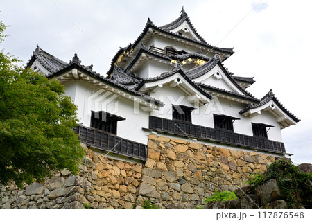 日本100名城・彦根城 日本100名城・彦根城 117876548