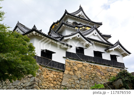 日本100名城・彦根城 日本100名城・彦根城 117876550
