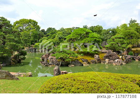 日本100名城・二条城　二の丸庭園 117877108