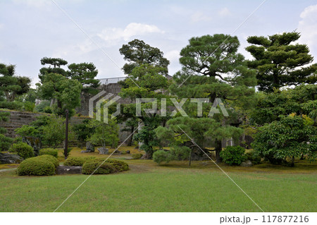 日本100名城・二条城 本丸庭園 日本100名城・二条城 本丸庭園 117877216
