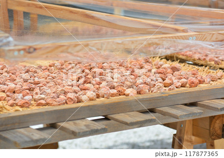 京都・北野天満宮 117877365