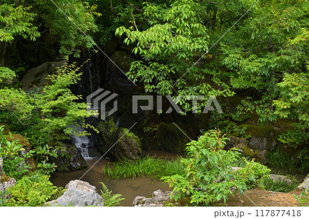 京都・金閣寺 117877418