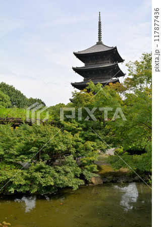 京都・東寺 117877436