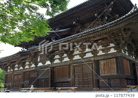 京都・東寺 京都・東寺 117877439