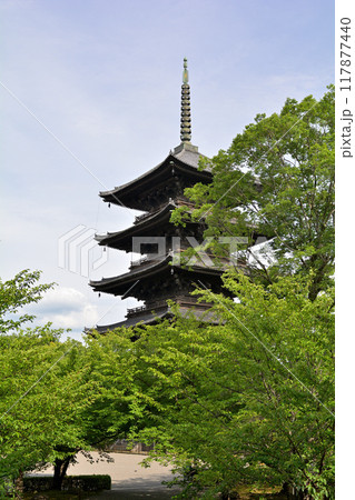 京都・東寺 京都・東寺 117877440