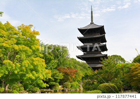 京都・東寺 117877441