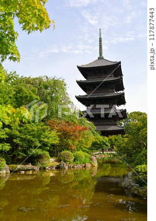 京都・東寺 117877443