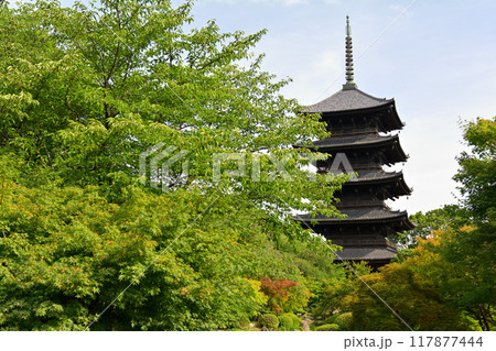 京都・東寺 117877444