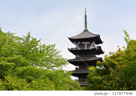 京都・東寺 117877446