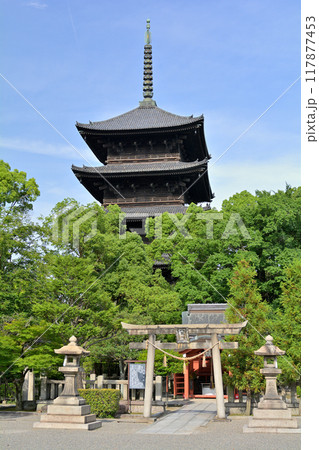 京都・東寺 117877453
