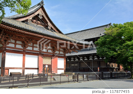 京都・東寺 京都・東寺 117877455