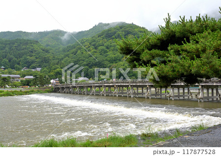 京都・嵐山 京都・嵐山 117877528