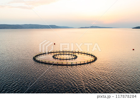 Fish farm at sunset with circular nets in tranquil waters, showcasing aquaculture techniques.  117878284
