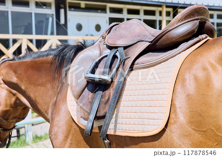 乗馬の馬 117878546