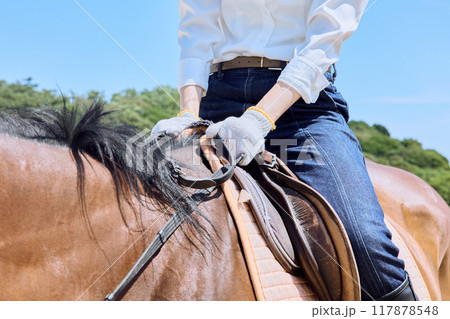 馬に乗って乗馬の練習をする女性 117878548