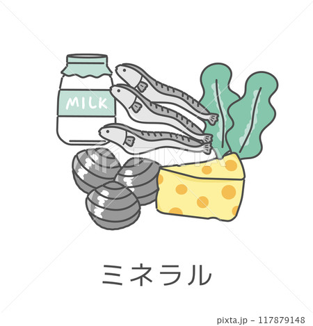 ミネラルを含む食品　イラストセット 117879148