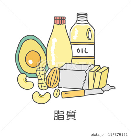 脂質を含む食品　イラストセット 117879151