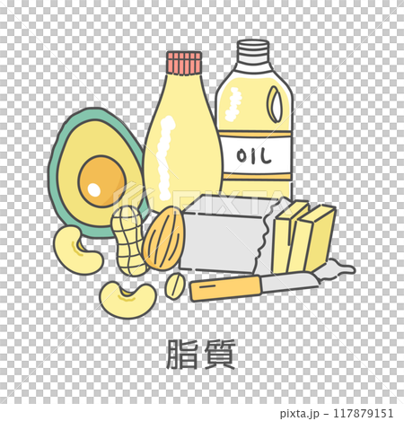 脂質を含む食品　イラストセット 117879151