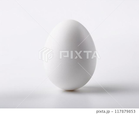 白いたまご 白いたまご 117879853