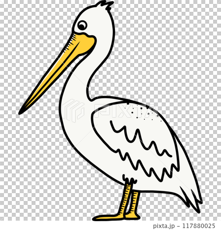 Pelican 117880025