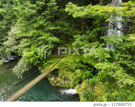 高知県越知町　堂林の滝 117880753