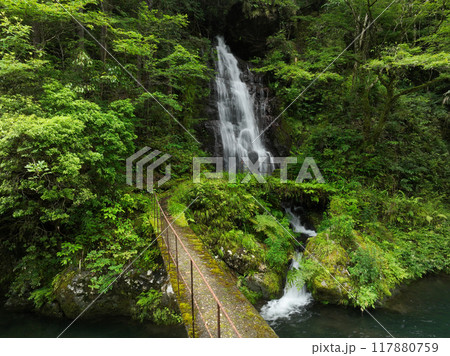 高知県越知町　堂林の滝 117880759