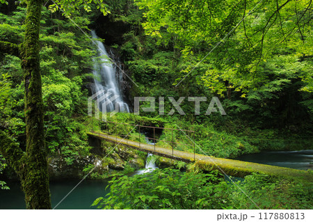 高知県越知町　堂林の滝 117880813