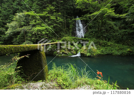 高知県越知町　堂林の滝 117880816
